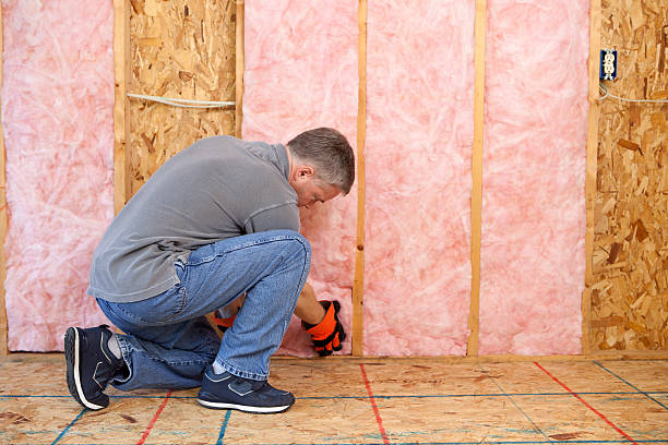 Best Home Insulation Services  in Webberville, MI